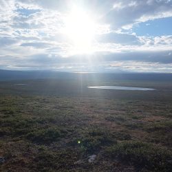 maisemaa tunturista