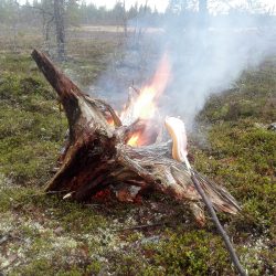 makkaranpaistoa valkealla