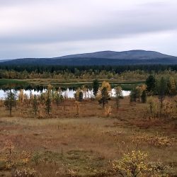 ruskainen tunturimaisema